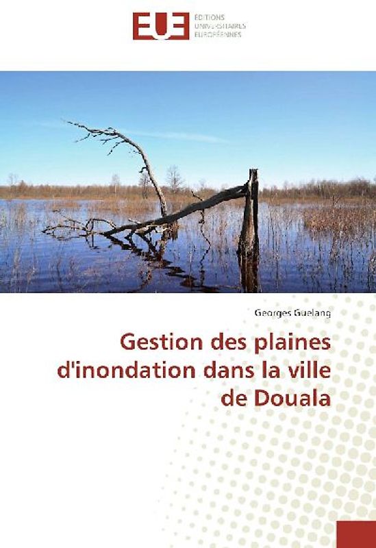 Gestion des plaines d'inondation dans la ville de Douala