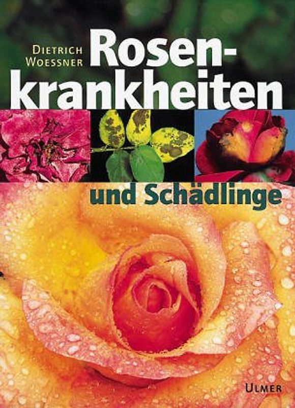 Rosenkrankheiten. Erkennen und Behandeln von Wachstumsstörungen, Krankheiten und Schädlingen