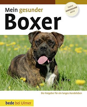 Mein gesunder Boxer