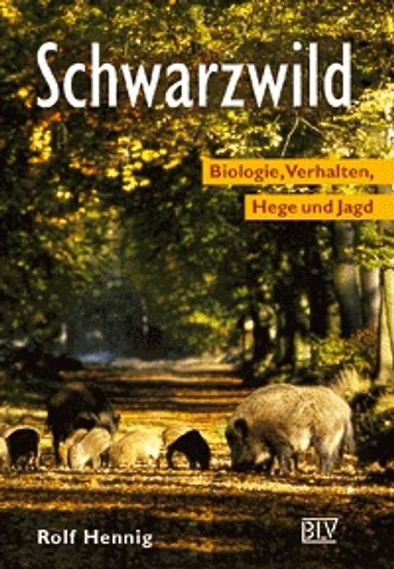 Schwarzwild