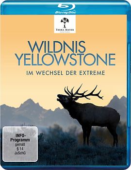 Wildnis Yellowstone - Im Wechsel der Extreme Blu-ray Disc