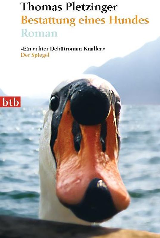 Bestattung eines Hundes