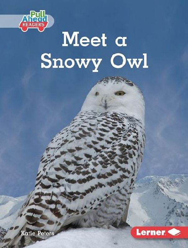 Meet a Snowy Owl
