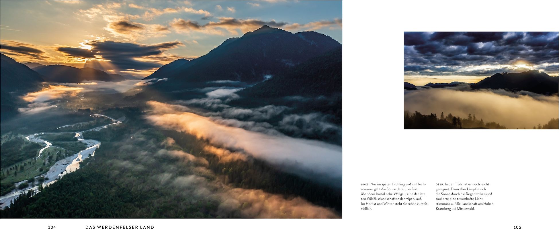 Formen der Commedia dell' arte in Deutschland