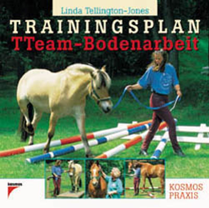Trainingsplan TTEAM-Bodenarbeit