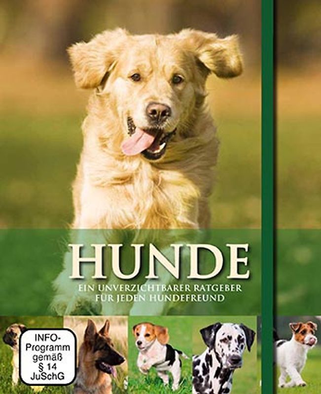 Hunde - Geschenkbox mit Buch & DVD