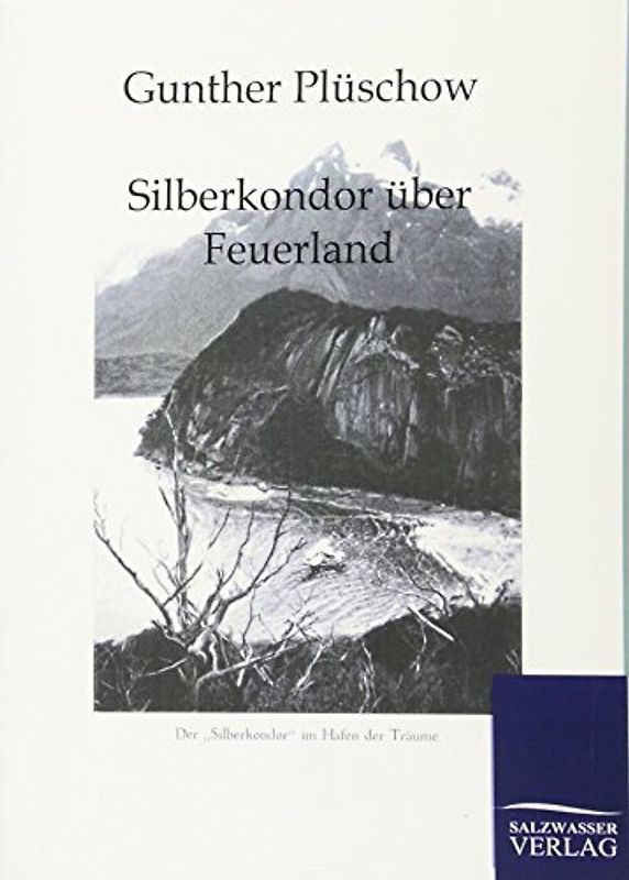 Silberkondor über Feuerland