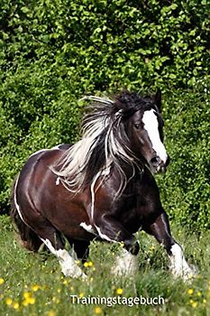 Trainingstagebuch: für ein komplettes Jahr mit Deinem Tinker (datumsunabhängig) (Irish Tinker - alle Bücher: Trainingstagebuch, Krankenakte und Diät Tagebuch, Band 1)