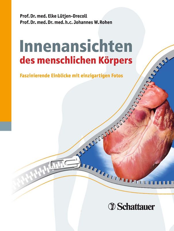 Innenansichten des menschlichen Körpers