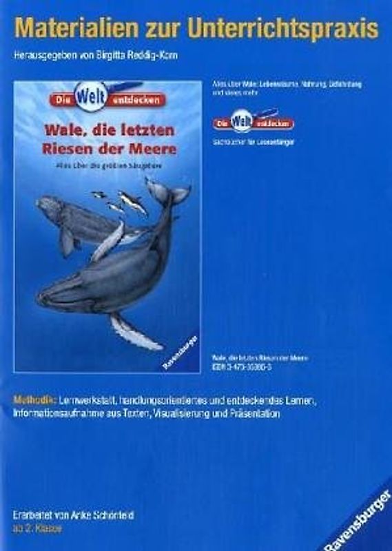 Wale, die letzten Riesen der Meere