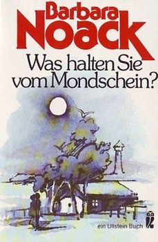 Was halten Sie vom Mondschein?. Eine Kampener Feriengeschichte