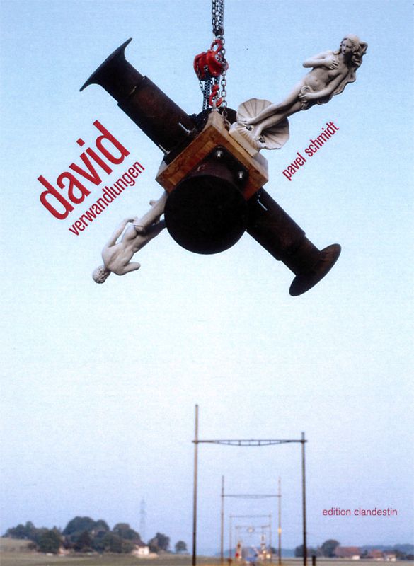 Schmidt, Pavel: david verwandlungen