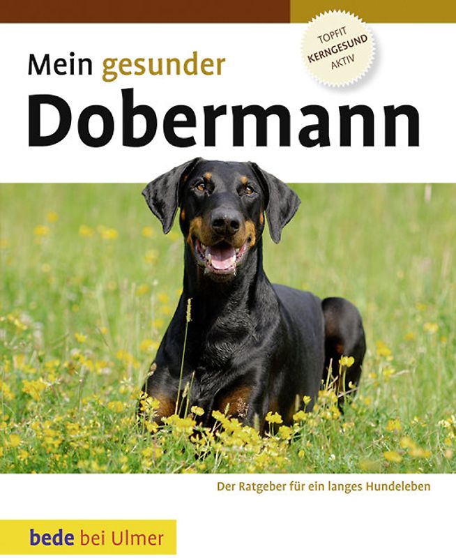 Mein gesunder Dobermann