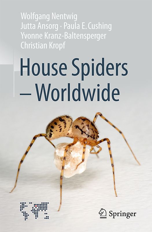 House Spiders - Worldwide