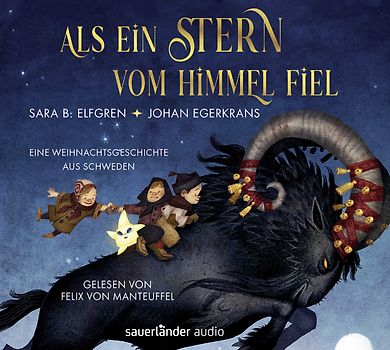 Als ein Stern vom Himmel fiel