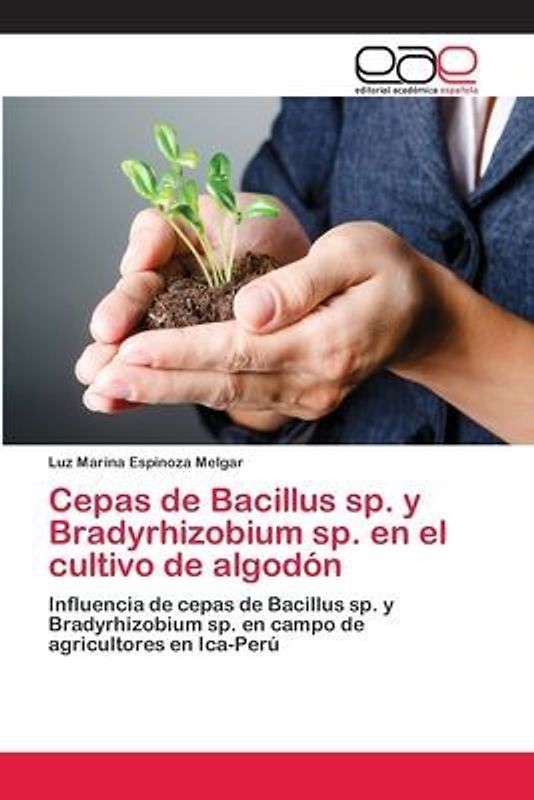 Cepas de Bacillus sp. y Bradyrhizobium sp. en el cultivo de algodón