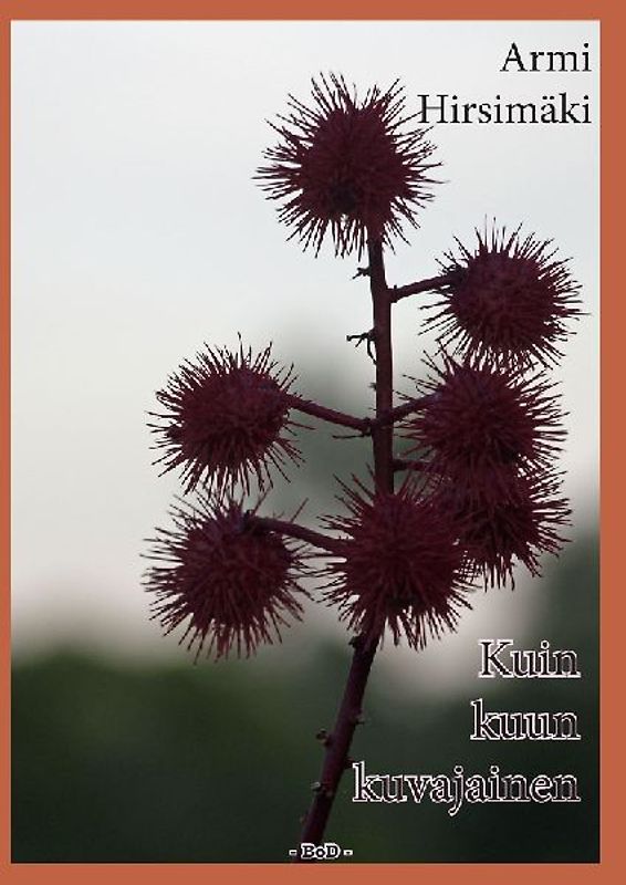 Kuin kuun kuvajainen