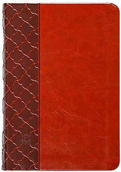 The Passion Translation New Testament (2020 Edition) Compact Brown