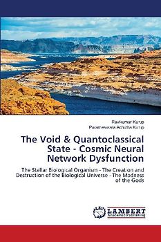 The Void & Quantoclassical State - Cosmic Neural Network Dysfunction