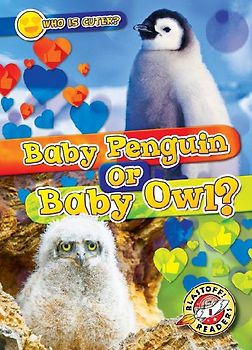 Baby Penguin or Baby Owl?