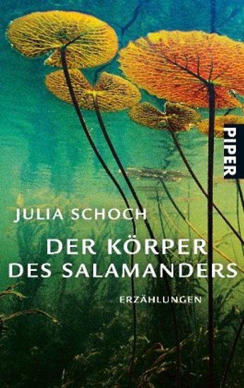 Der Körper des Salamanders