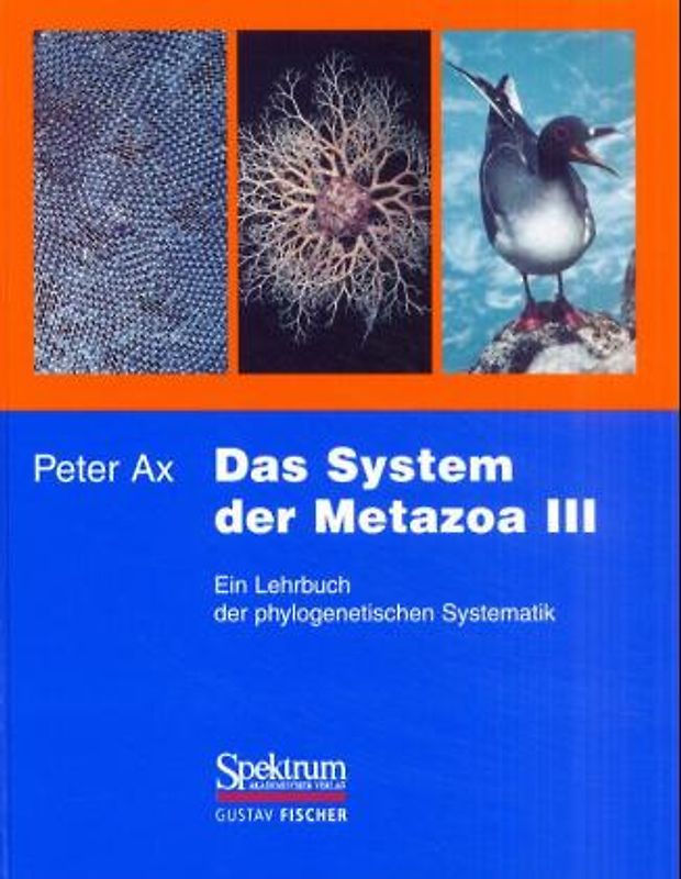 Das System der Metazoa III
