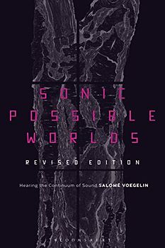 Sonic Possible Worlds