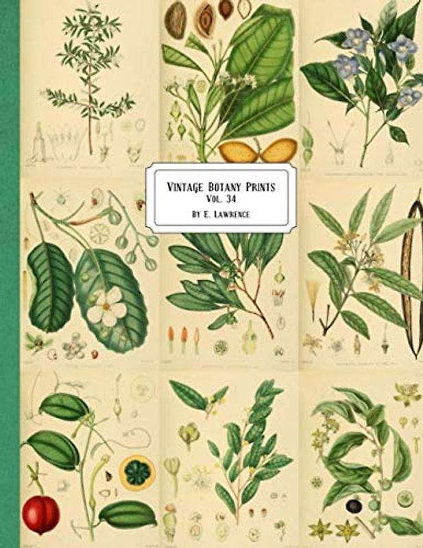 Vintage Botany Prints: Vol. 34