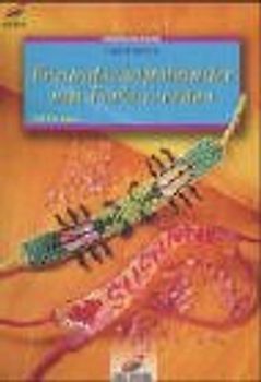 Freundschaftsbänder mit Perlen weben. Mit Vorlagen