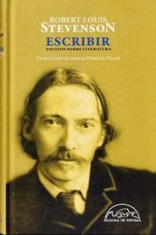 Escribir : ensayos sobre literatura