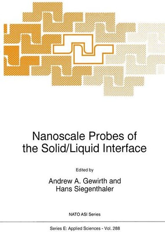 Nanoscale Probes of the Solid/Liquid Interface