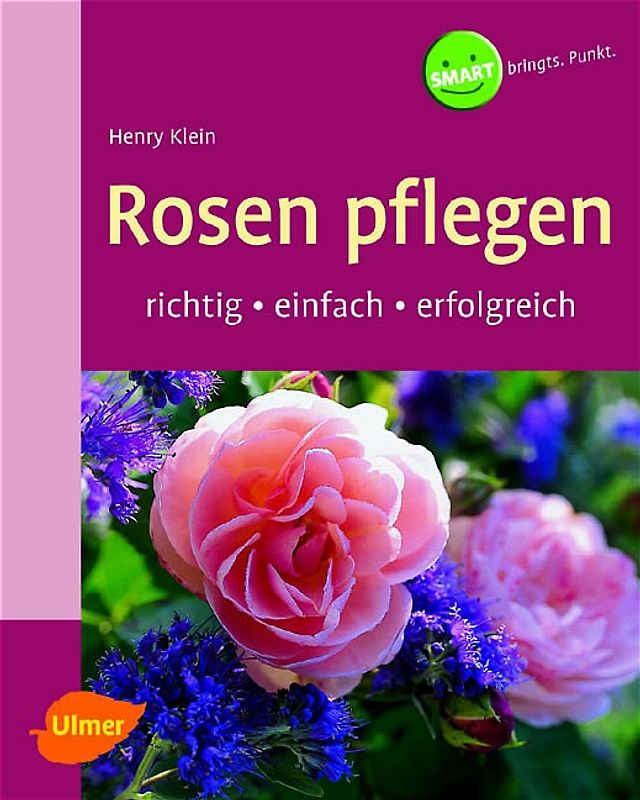 Rosen pflegen