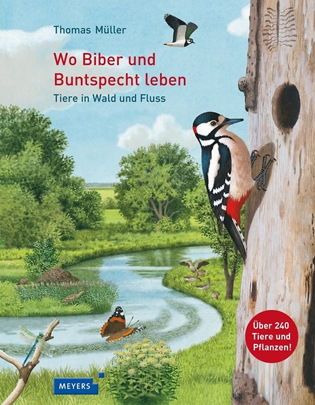 Wo Biber und Buntspecht leben. Tiere in Wald und Fluss