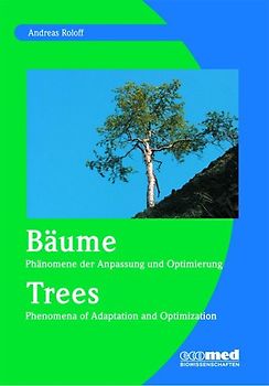 Bäume - Phänomene der Anpassung und Optimierung