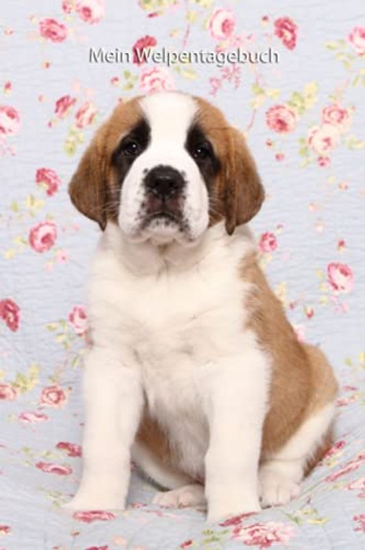 Mein Welpentagebuch: die ersten Monate mit meinem Bernhardiner (Bernhardiner - alle Bücher: Trainingstagebuch, Krankenakte, BARF Planer und Welpentagebuch, Band 3)