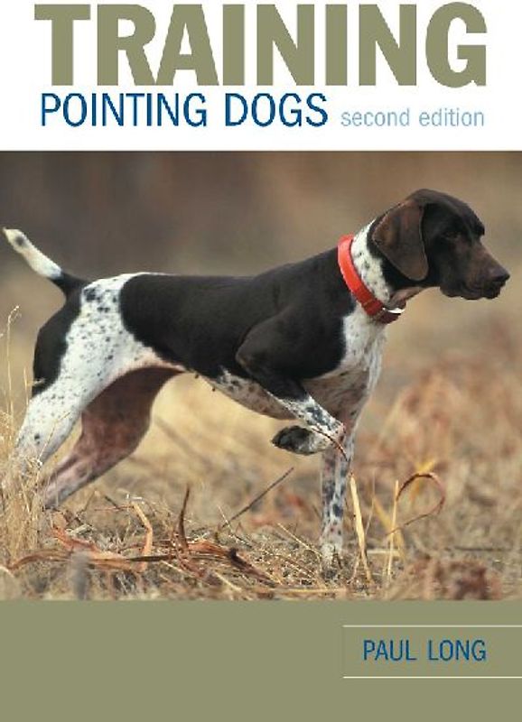 Training Pointing Dogs