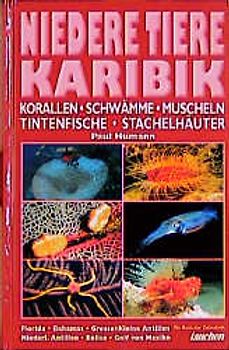 Niedere Tiere Karibik