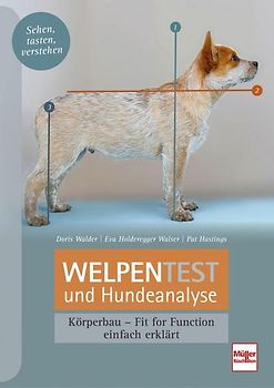 Welpentest und Hundeanalyse