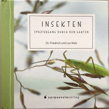 Insekten Spaziergang Durch Den Garten