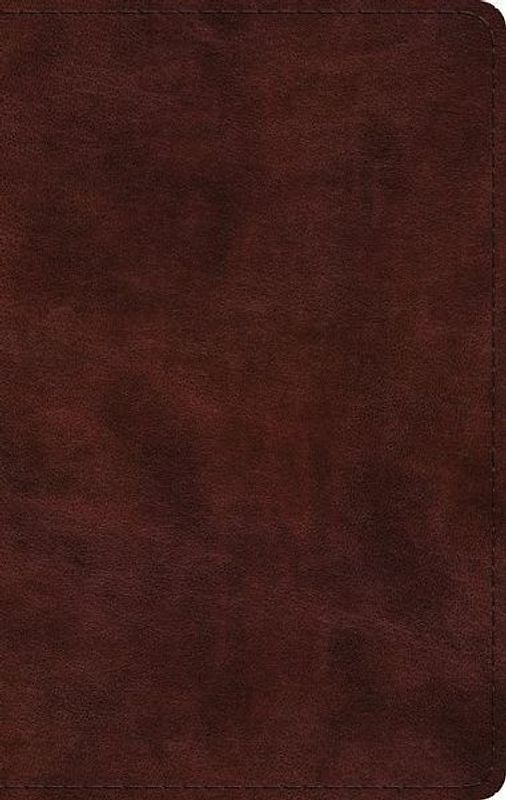 ESV Large Print Thinline Bible (Trutone, Mahogany)