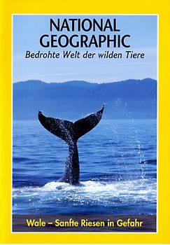 National Geographic: Bedrohte Welt der wilden Tiere - Wale - Sanfte Riesen in Gefahr [Weltbild] DVD