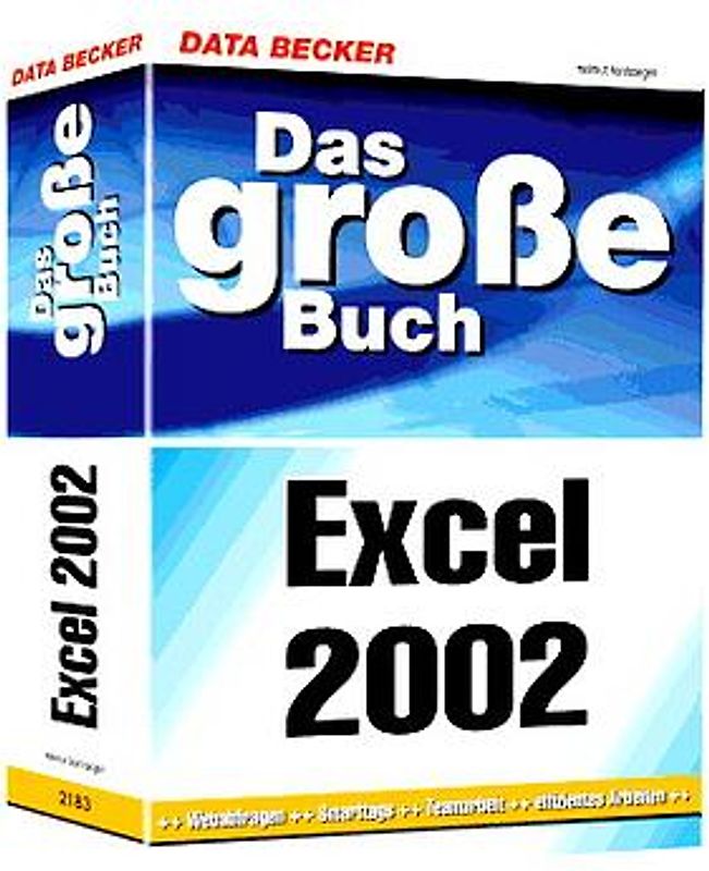 Excel 2002