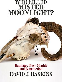 Who killed Mister Moonlight?