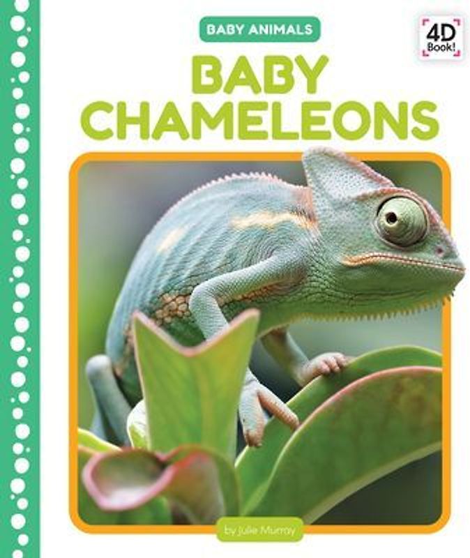 Baby Chameleons