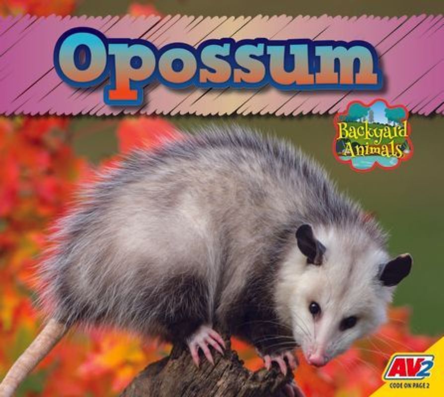 Opossum