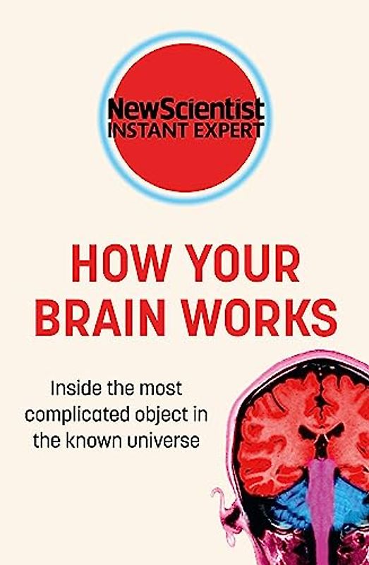 How Your Brain Works