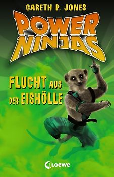 Power Ninjas (Band 3) – Flucht aus der Eishölle