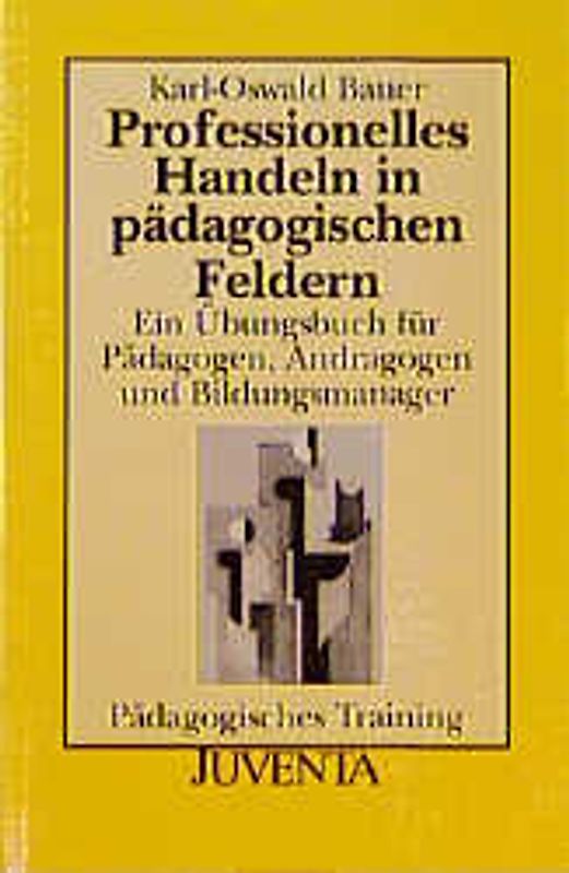 Professionelles Handeln in pädagogischen Feldern