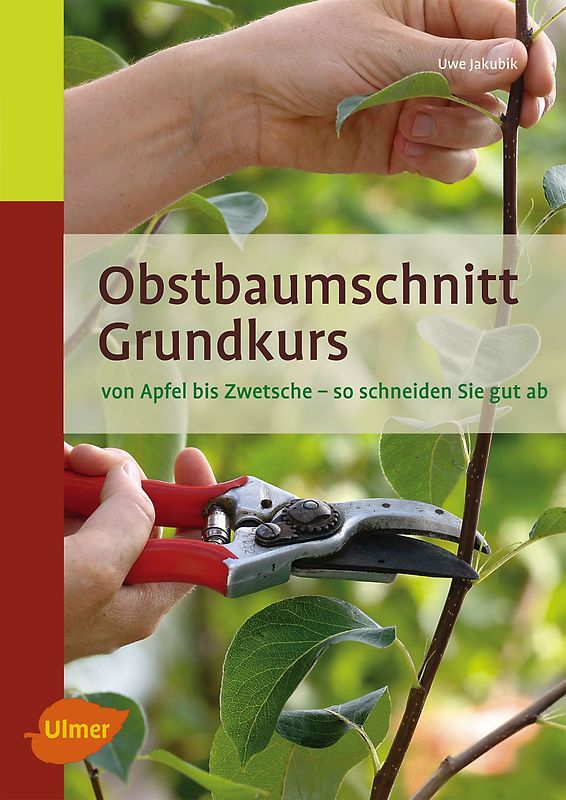 Obstbaumschnitt Grundkurs