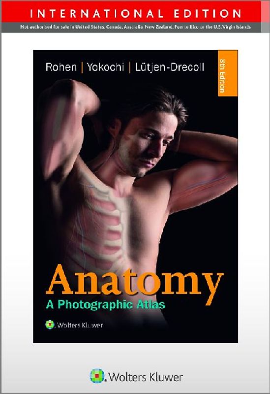 Anatomy